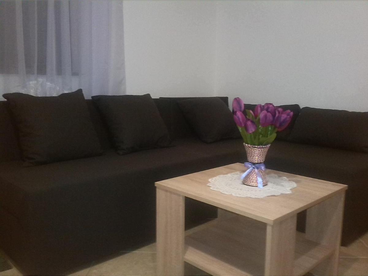 Apartman Borosa Vir Esterno foto